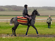 AK181121-14 - Sarsen
